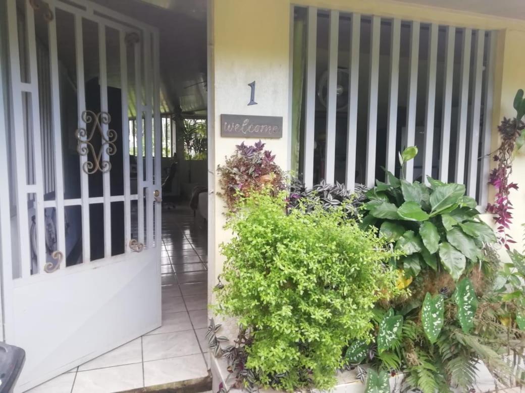 Casa Sophia 3 Listings Apartment 1 Or Apartment 2 Separately Or Apt 1 And 2 Together All With Fo Internet Guápiles Kültér fotó