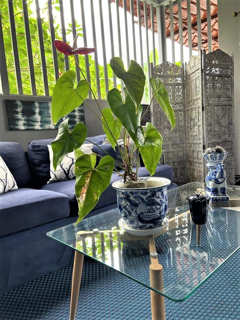 Casa Sophia 3 Listings Apartment 1 Or Apartment 2 Separately Or Apt 1 And 2 Together All With Fo Internet Guápiles Kültér fotó