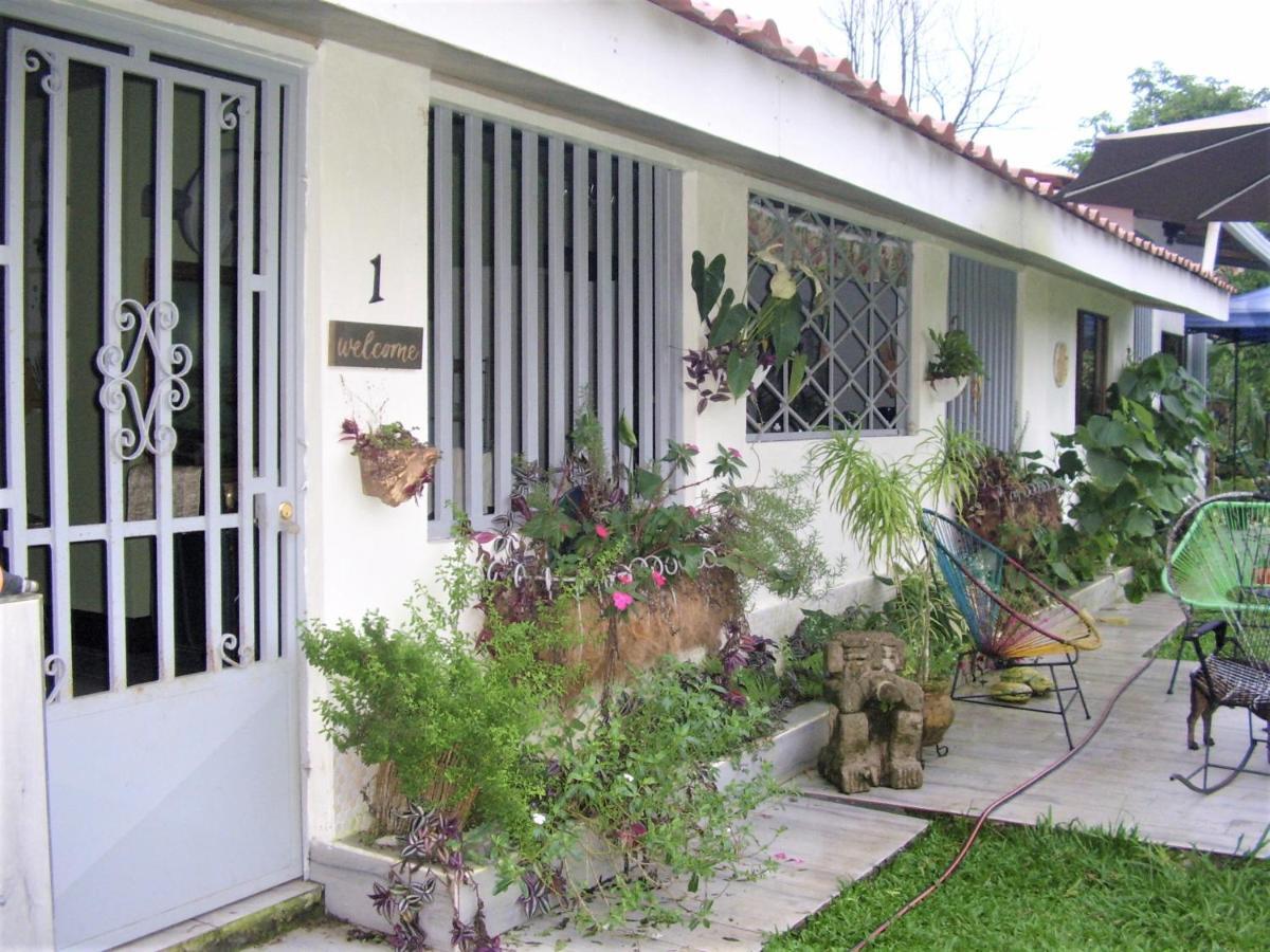 Casa Sophia 3 Listings Apartment 1 Or Apartment 2 Separately Or Apt 1 And 2 Together All With Fo Internet Guápiles Kültér fotó